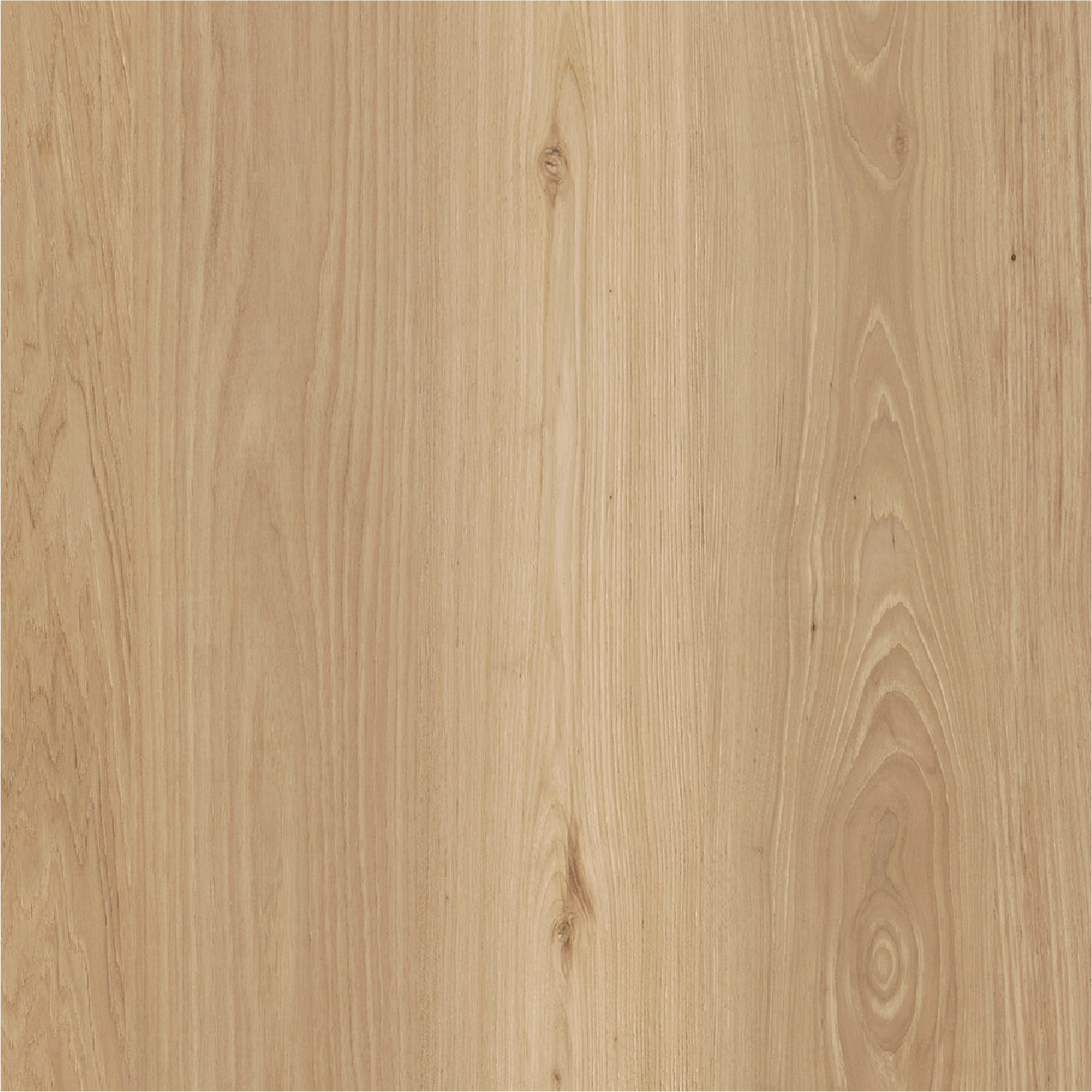 Golden Hickory