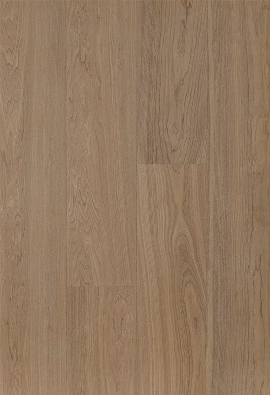 American Ash - White