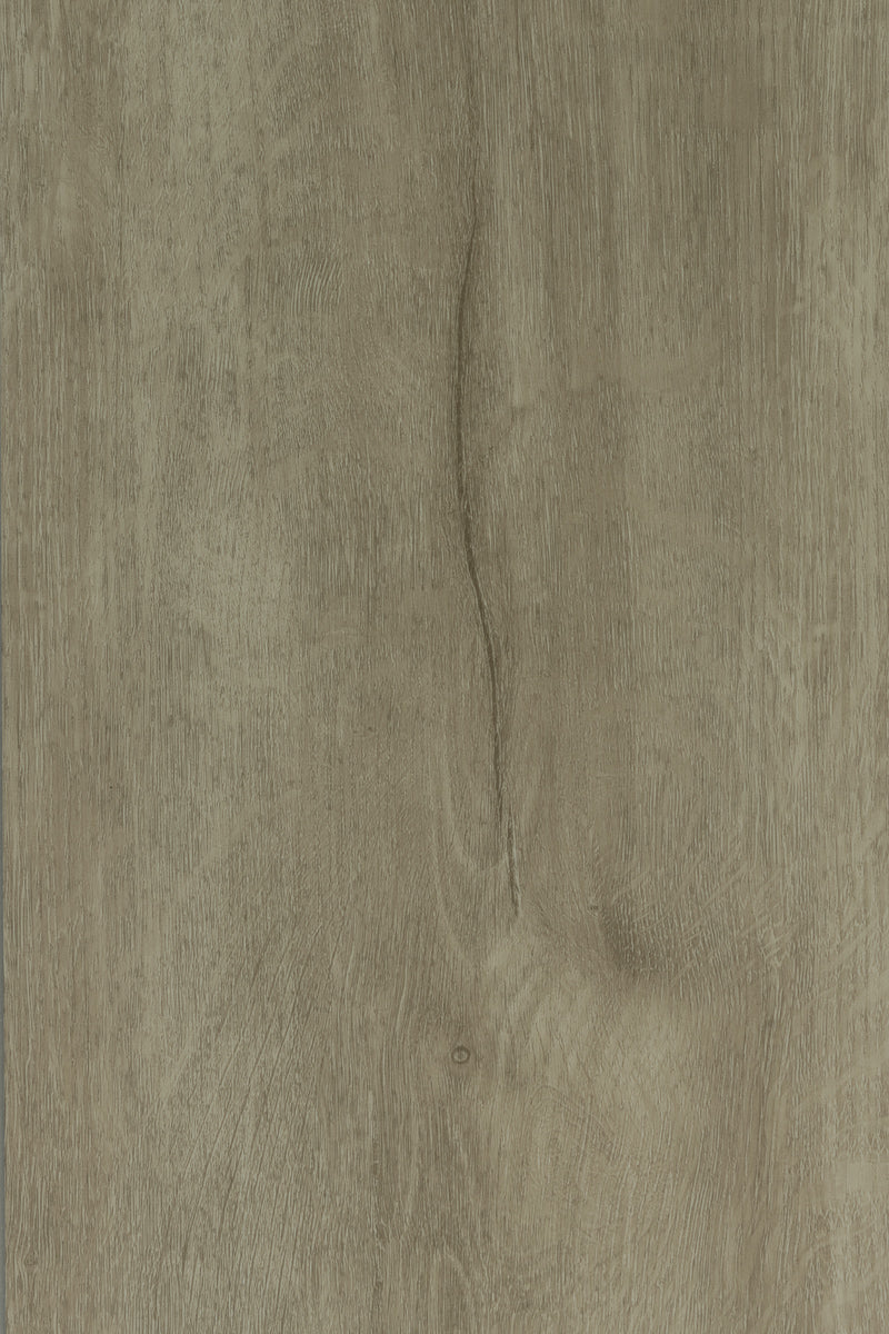 Autumn Grey Oak