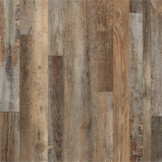 Reclaimed Fir Tabby